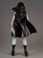SHADOW LASS (Tasmia Mallor) Legion of Super-heroes (DC Universe) Custom Action Figure
