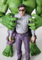 Bruce Banner (Hulk - Movie) Custom Action Figure