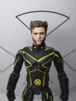 Wolverine (X3) (Marvel Legends) Custom Action Figure