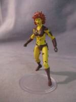 Captain Pollution - Female Variant (Captain Planet) Custom Action Figure