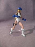 Delta Blue Cammy White (Street Fighter) Custom Action Figure