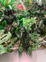 Profit and his gang of trolls (Dungeons and Dragons) Custom Action Figure