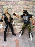 Diamond Dallas Page DDP (WWE) Custom Action Figure