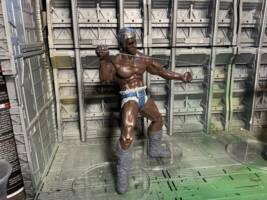 Raiga & Fuuga (Fist of the North Star) (Fist of the North Star) Custom Action Figure
