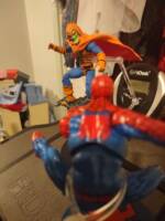 Spider-Man (Spider-Man the Animated series) (Marvel Legends) Custom Action Figure