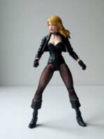 Black Canary (DC Multiverse) Custom Action Figure