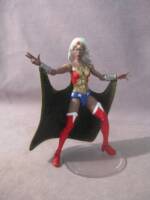 Wonder Woman (Amazon) (Amalgam) Custom Action Figure