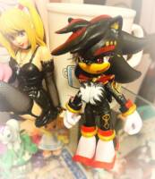 A Mobian Cosplaying Shadow the Hedgehog (Sonic) Custom Action Figure