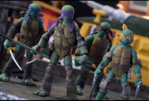 IDW Turtles (Teenage Mutant Ninja Turtles) Custom Action Figure