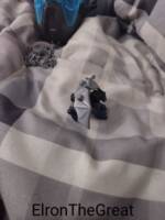 Gargoyles Bronx (Gargoyles) Custom Miniature / Figurine