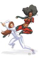 Misty Knight (Daughter's of the Dragon) (Marvel Universe) Custom Action Figure