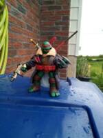 Raphael (Teenage Mutant Ninja Turtles) Custom Action Figure