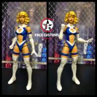Invisible Woman (Marvel Legends) Custom Action Figure