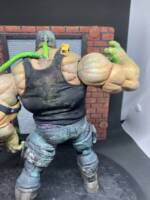 Bane (Batman) Custom Action Figure [Back]