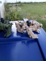 Final Faction: Tactical M.U.T.T(original design) (Final Faction) Custom Other