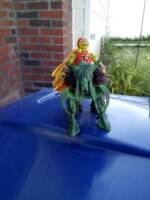 Michaelangelo dressed as Robin teamed up with Beast Boy hellish steed transformation (DC Universe) Custom Action Figure