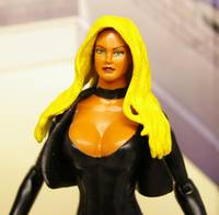 Black Canary (DC Universe) Custom Action Figure