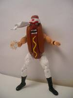 'Regou (Chinese for hot dog ) Master of Wein Fu (Wrestling) Custom Action Figure