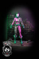 Harlequin (Duela Dent) (DC Universe) Custom Action Figure