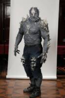 Smallville Doomsday (DC Universe) Custom Action Figure