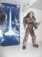 Masked Predator (Alien vs Predator) Custom Action Figure