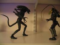 Unmasked Predator. (Alien vs Predator) Custom Action Figure