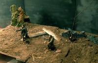 Abandoned Courtyard (Lord of the Rings) Custom Diorama / Playset