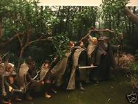 Fellowship of the Ring (Lord of the Rings) Custom Action Figure