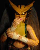 Hawkgirl (DC Universe) Custom Action Figure