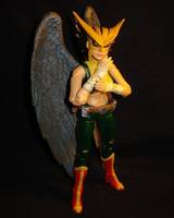 Hawkgirl (DC Universe) Custom Action Figure