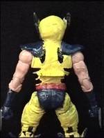 Tiger Stripe Wolverine (X-Men) Custom Action Figure