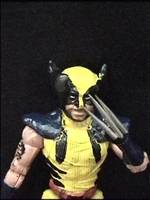 Tiger Stripe Wolverine (X-Men) Custom Action Figure