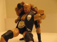 Stone Cold Steve Austin (Wrestling) Custom Action Figure