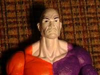 Metamorpho "The Element Man" (DC Direct) Custom Action Figure
