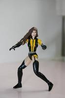 Silk spectre 2 (Marvel Universe) Custom Action Figure