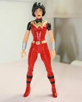 Justice Lords Wonder Woman (DC Direct) Custom Action Figure