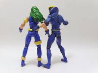 Havok  and Polaris Unverse Size (Marvel Universe) Custom Action Figure
