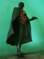 Red Robin (Batman & Robin) Custom Action Figure