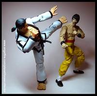 Baek Doo San (Tekken 5) Custom Action Figure