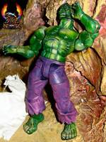 Hulk Transforming 1 (Incredible Hulk) Custom Action Figure