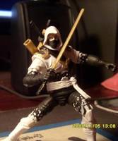 Ninja Force Storm Shadow (G.I. Joe) Custom Action Figure
