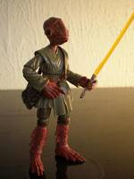 Cilghal (Re-Do) (Star Wars) Custom Action Figure