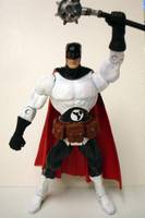 Flag Smasher (Marvel Legends) Custom Action Figure