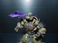 Slash (Teenage Mutant Ninja Turtles) Custom Action Figure