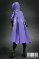 Spoiler DCUC (DC Universe) Custom Action Figure