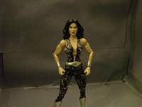 Donna Troy (DC Universe) Custom Action Figure