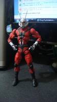 Antman (Avengers) Custom Action Figure