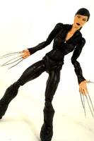 X2 Lady Deathstrike (Marvel Legends) Custom Action Figure