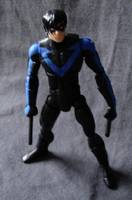 Arez Nightwing Reborn (DC Direct) Custom Action Figure