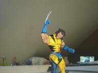 Wolverine (X-Men) Custom Action Figure